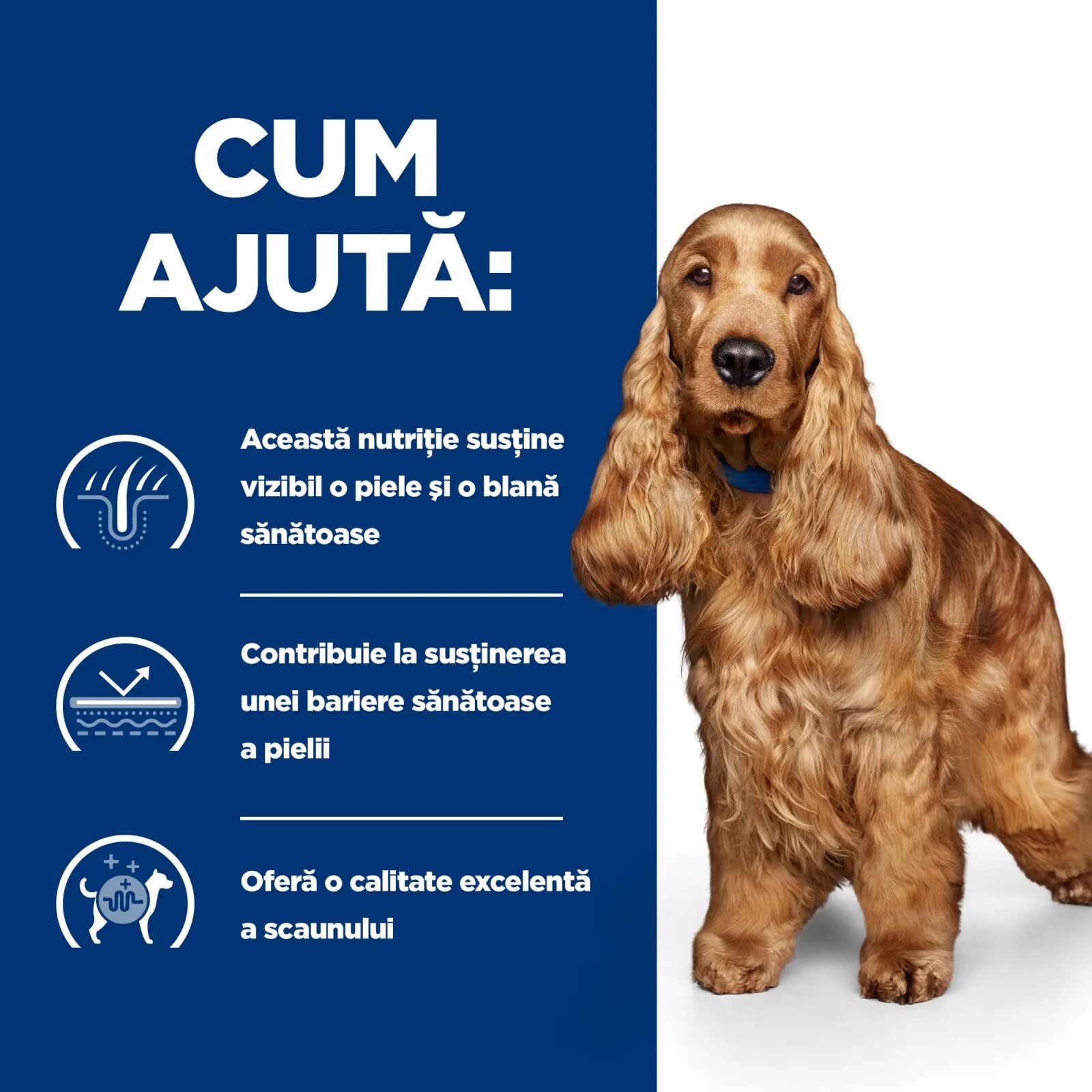 HILL'S Prescription Diet z/d Food Sensitivities dietă veterinară câini hrană uscată afecțiuni dermatologice și digestive z/d Food Sensitivities dietă veterinară câini hrană uscată piele & blana sistem digestiv 3kg