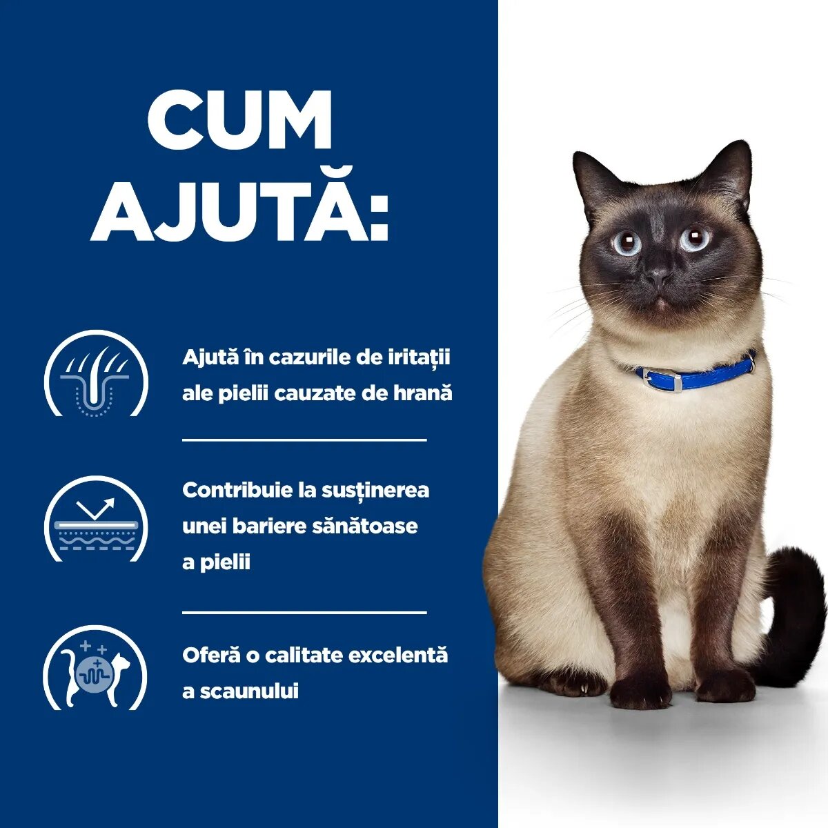 HILL'S Prescription Diet z/d Food Sensitivities dietă veterinară pisici conservă hrană umedă afecțiuni dermatologice și sistem digestiv 156g