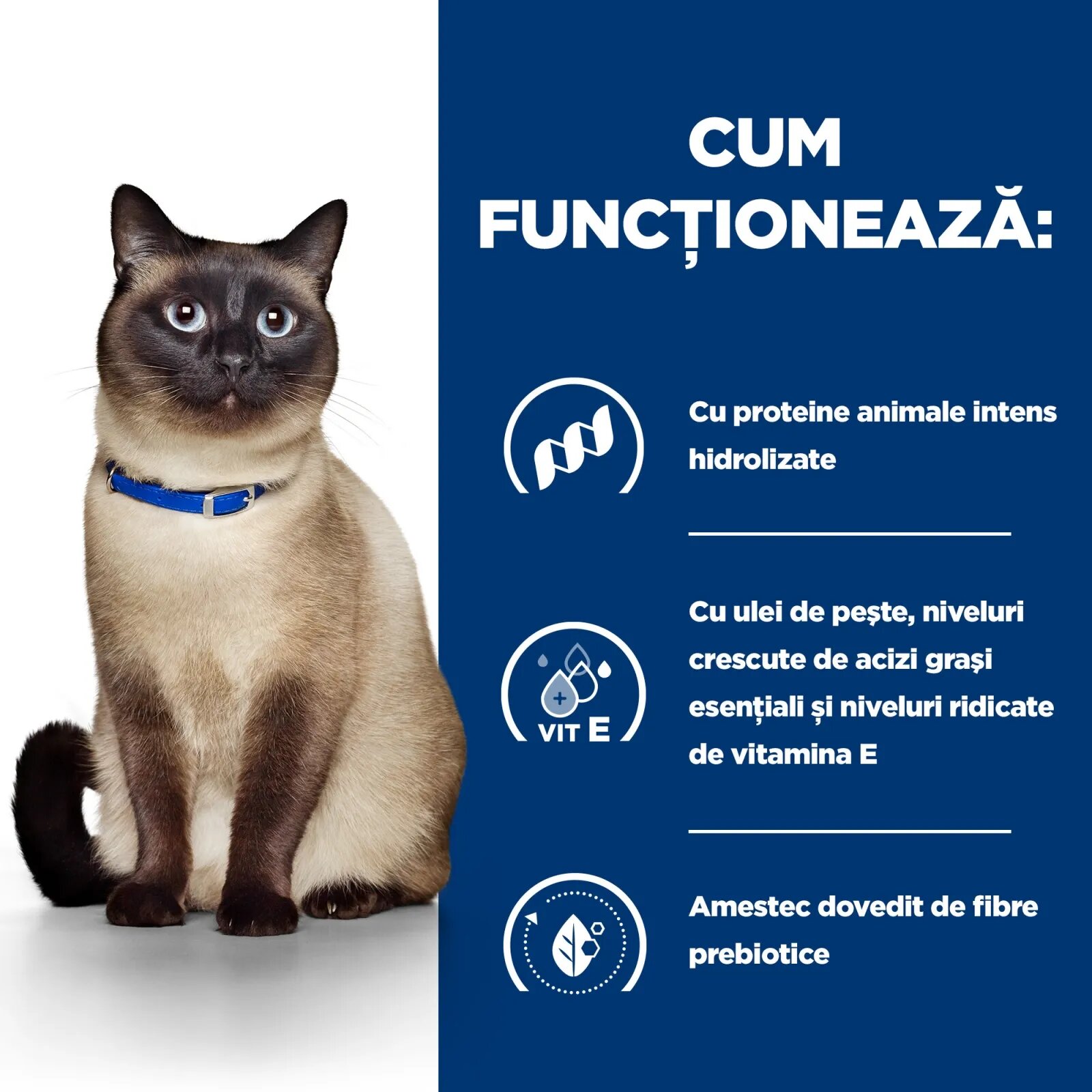 HILL'S Prescription Diet z/d Food Sensitivities dietă veterinară pisici hrană uscată afecțiuni dermatologice și digestive z/d Food Sensitivities dietă veterinară pisici hrană uscată piele & blana sistem digestiv 1.5kg