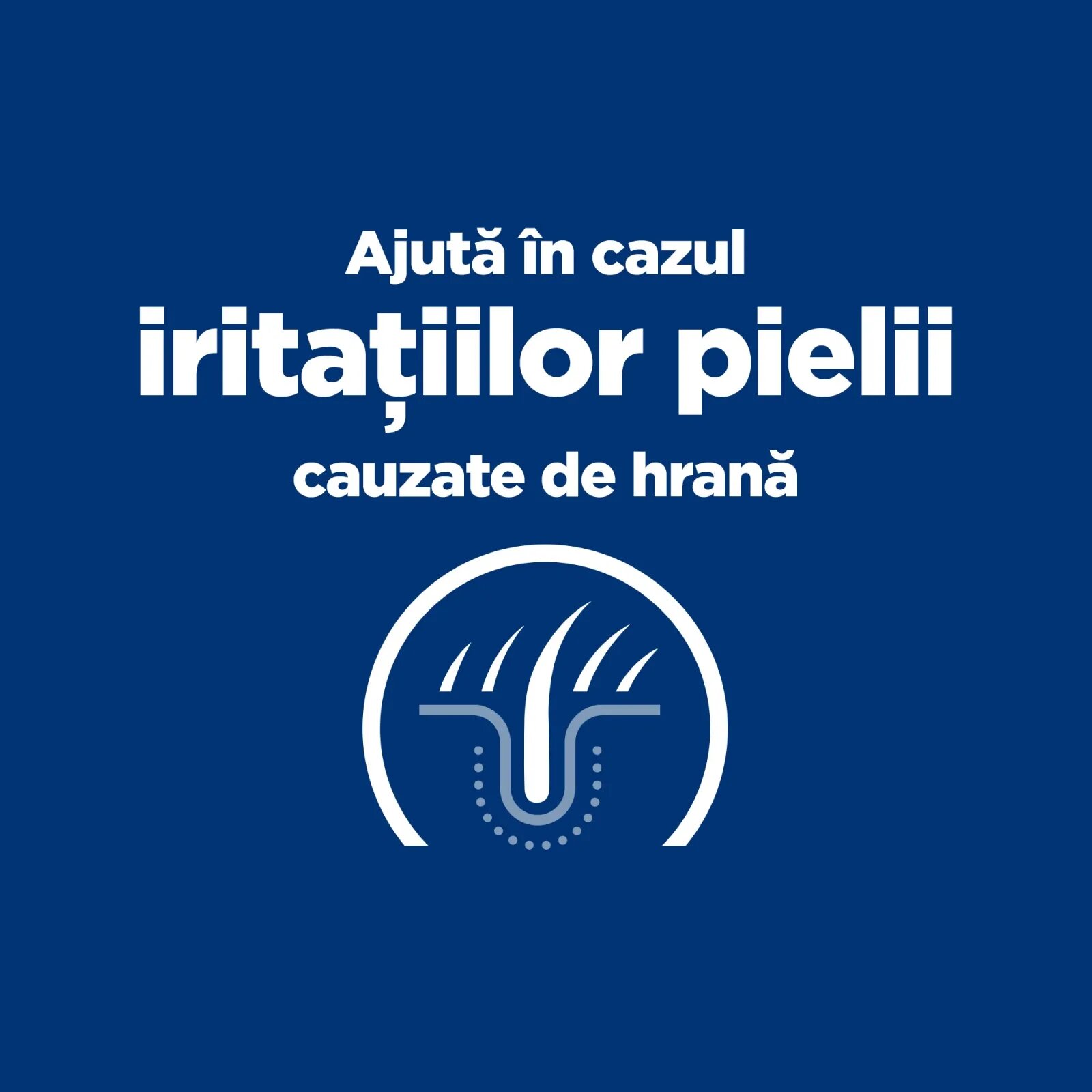 HILL'S Prescription Diet z/d Food Sensitivities dietă veterinară pisici hrană uscată afecțiuni dermatologice și digestive z/d Food Sensitivities dietă veterinară pisici hrană uscată piele & blana sistem digestiv 6kg