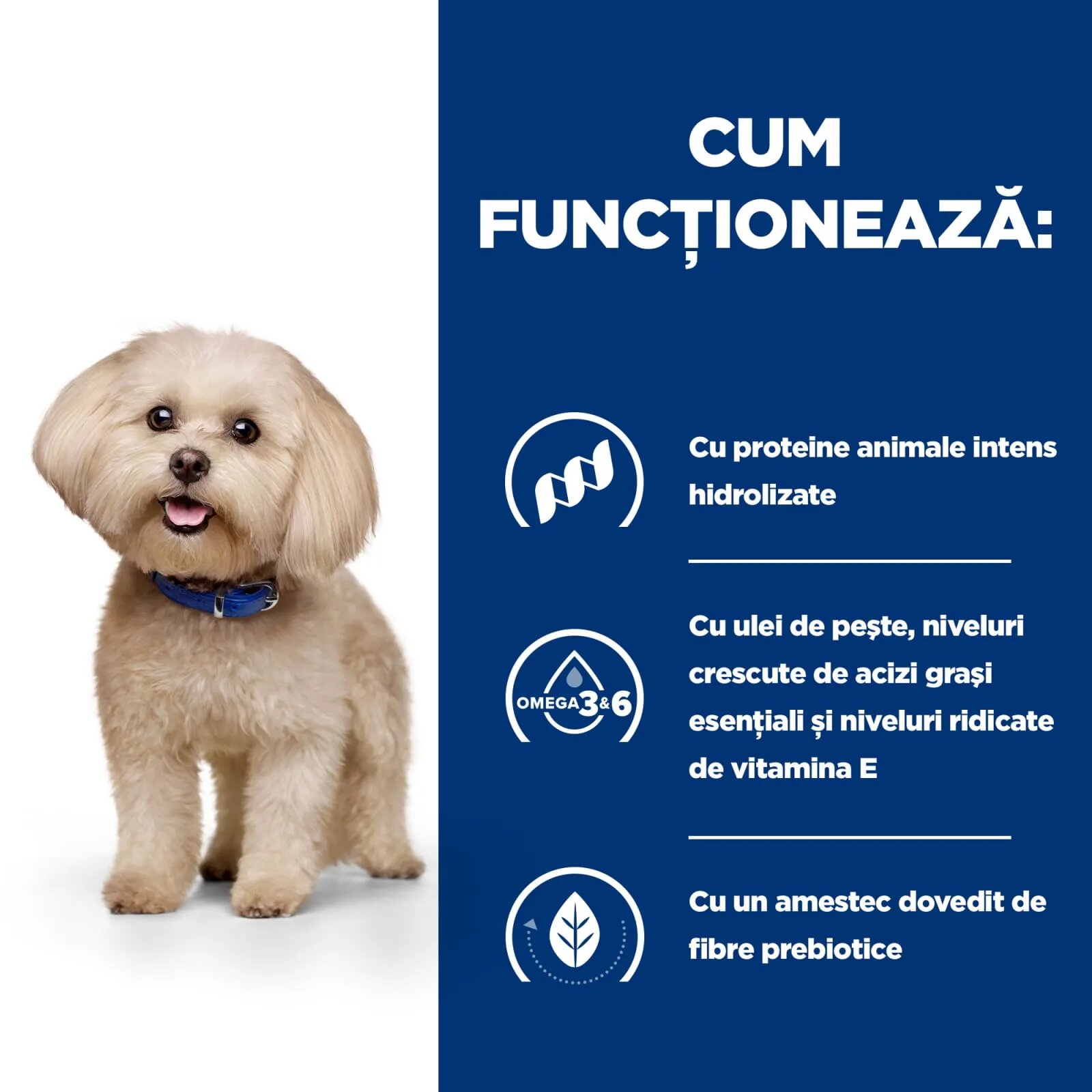 HILL'S Prescription Diet z/d Food Sensitivities Mini dietă veterinară câini hrană uscată afecțiuni dermatologice și digestive z/d Food Sensitivities Mini dietă veterinară câini hrană uscată piele & blana sistem digestiv 1