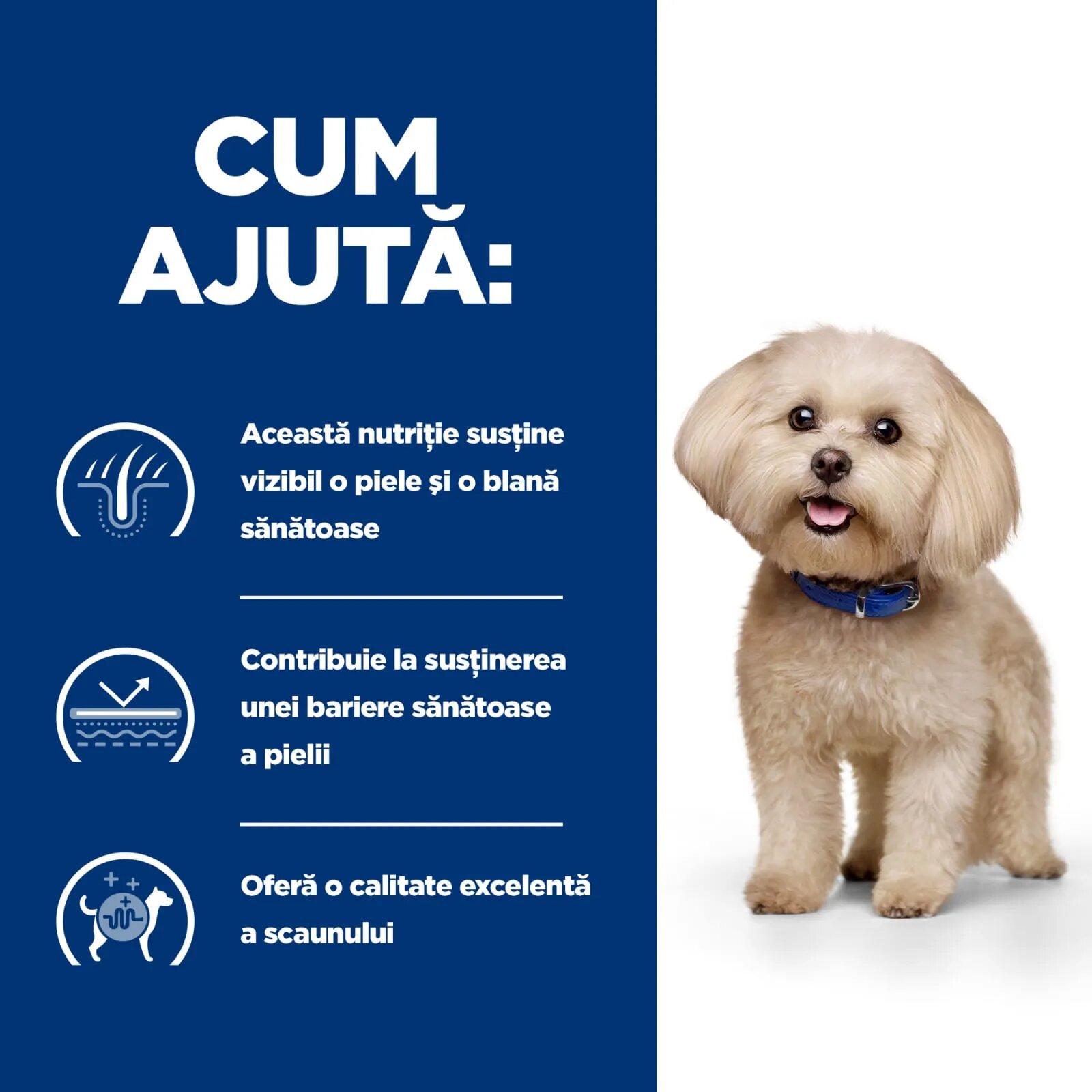 HILL'S Prescription Diet z/d Food Sensitivities Mini dietă veterinară câini hrană uscată afecțiuni dermatologice și digestive z/d Food Sensitivities Mini dietă veterinară câini hrană uscată piele & blana sistem digestiv 6
