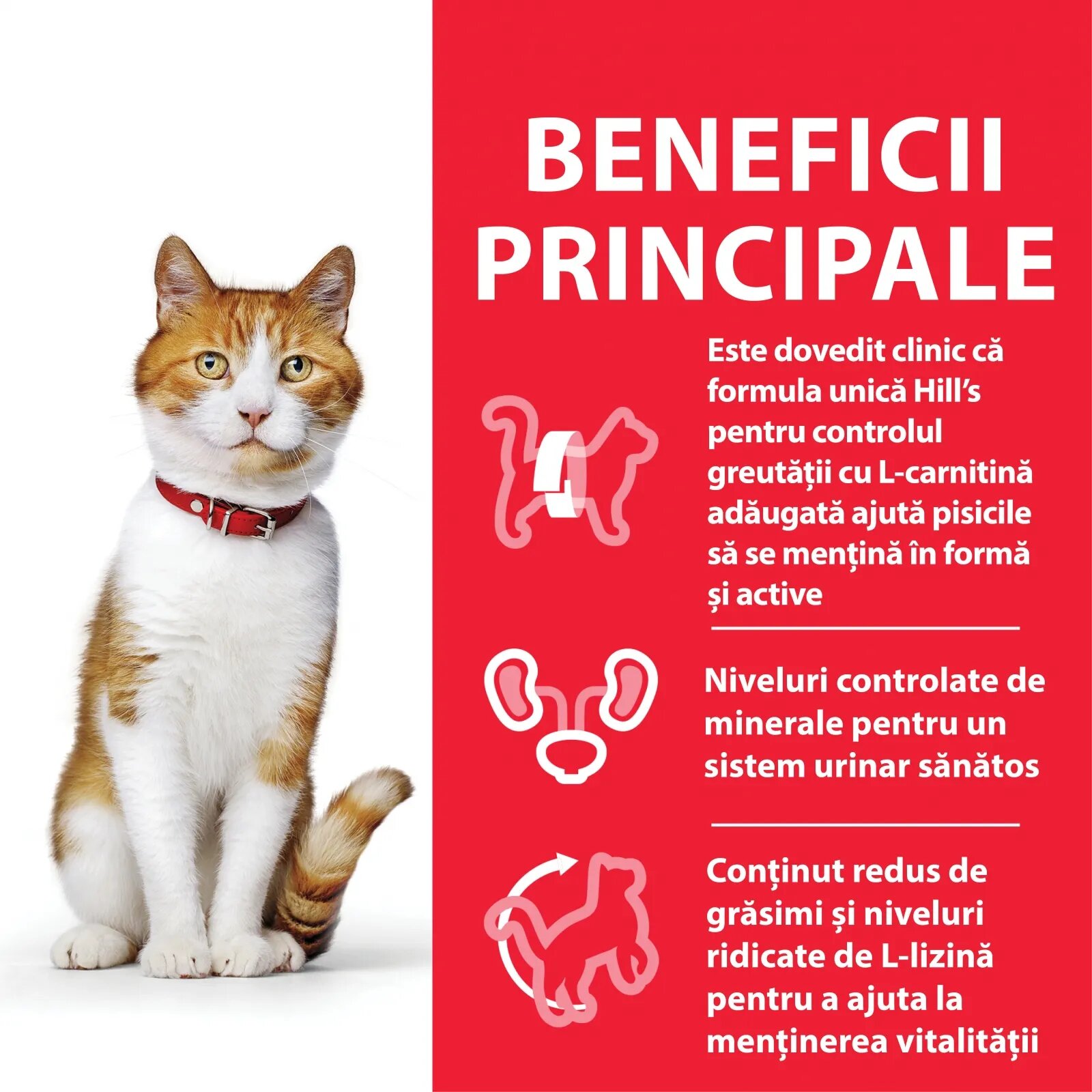 HILL'S Science Plan Adult Sterilised Pui hrană uscată pisici sterilizate 300g