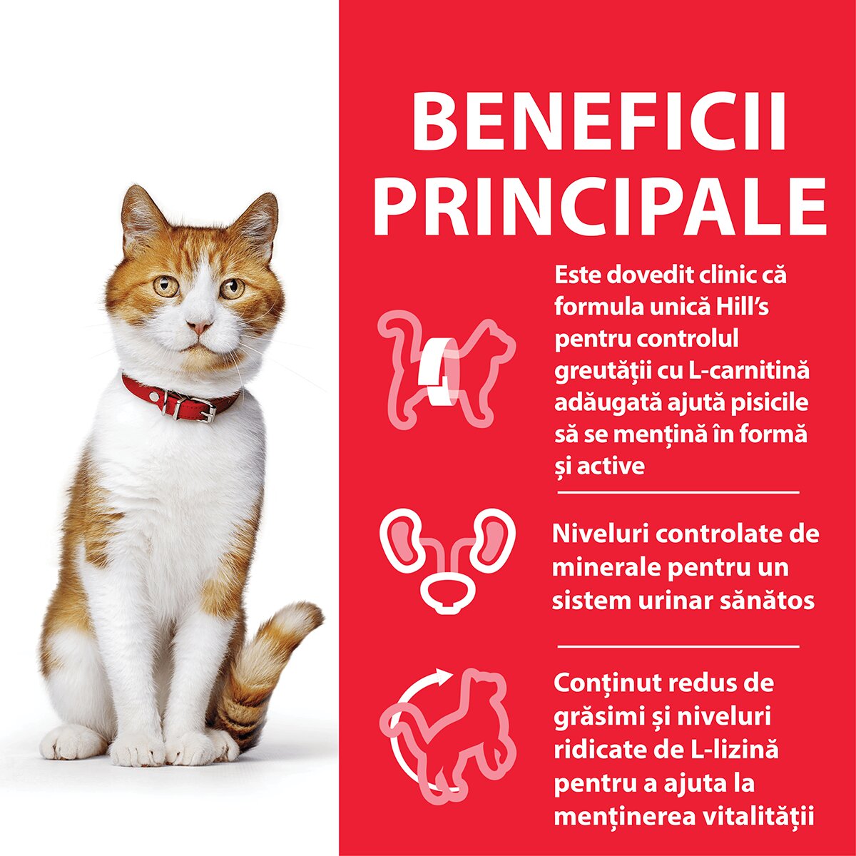 HILL'S Science Plan Adult Sterilised Pui hrană uscată pisici sterilizate 3kg