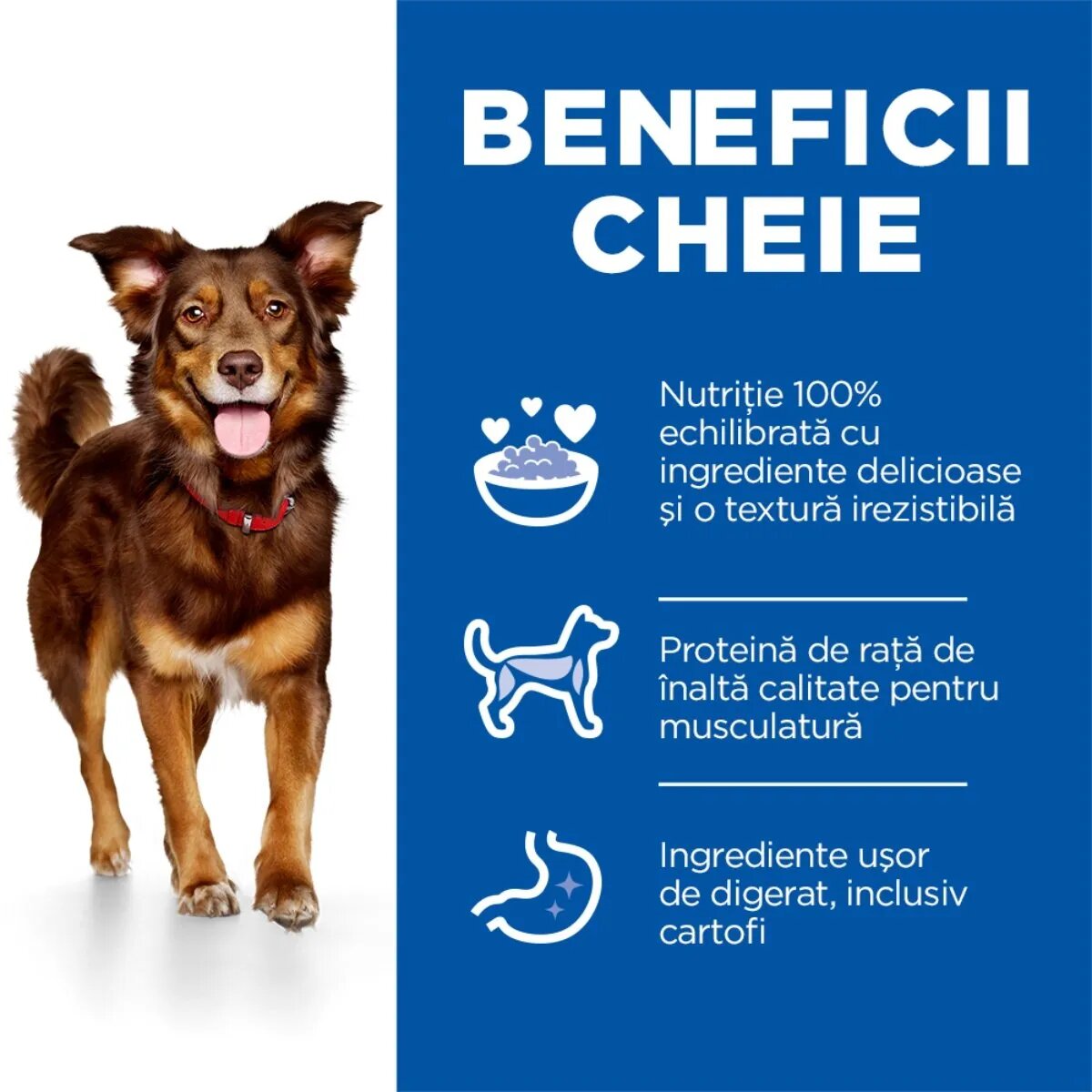 HILL'S Science Plan Culinary Creations M Rață și Cartof hrană uscată câini 2.5kg