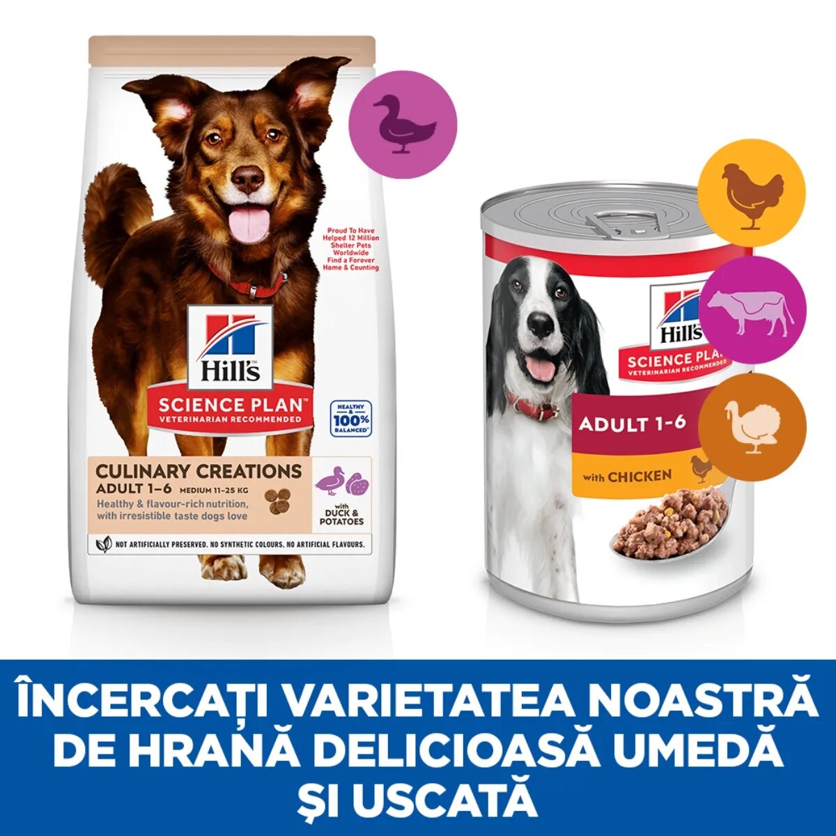 HILL'S Science Plan Culinary Creations M Rață și Cartof hrană uscată câini 2.5kg