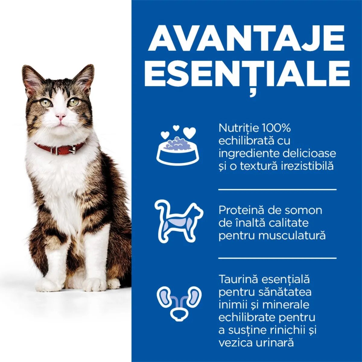 HILL'S Science Plan Culinary Creations Somon și Morcov hrană uscată pisici 10kg