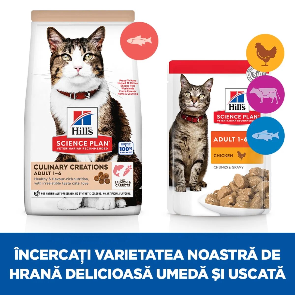 HILL'S Science Plan Culinary Creations Somon și Morcov hrană uscată pisici 10kg