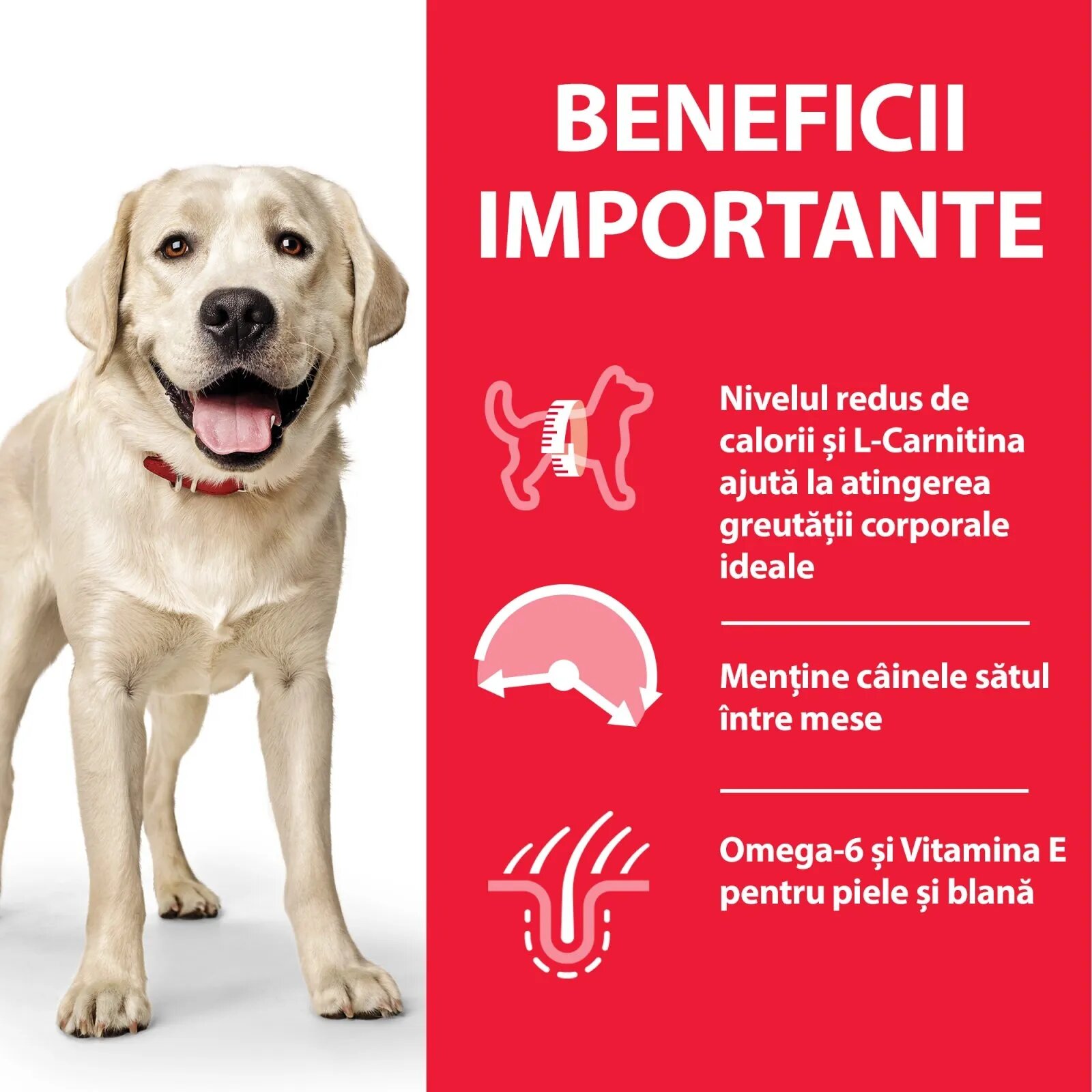 HILL'S Science Plan Hill's SP Canine Adult Light Large Breed Pui Value Pack 18 Kg