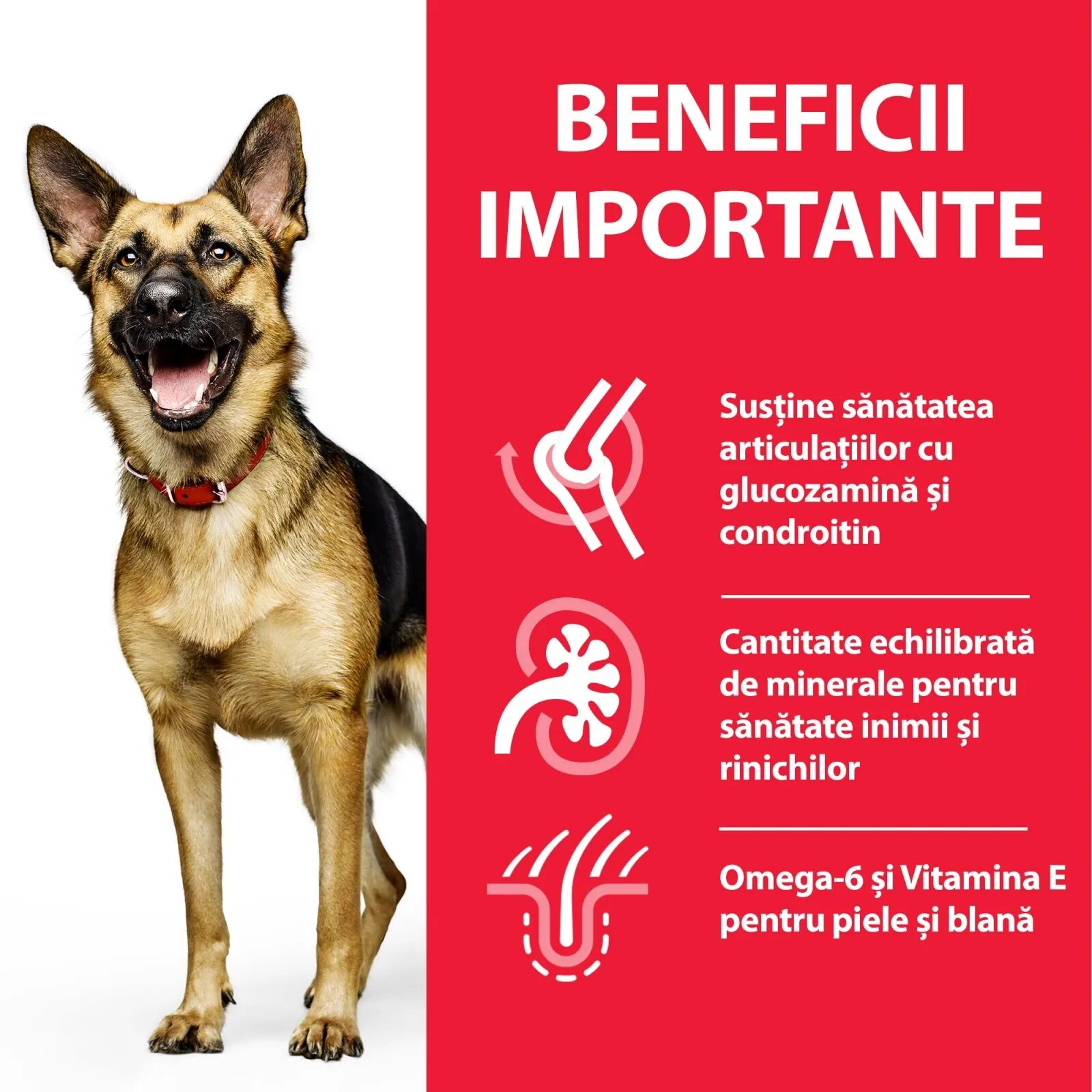 HILL'S Science Plan Hill's SP Canine Mature Large Breed Pui Value Pack 18 Kg