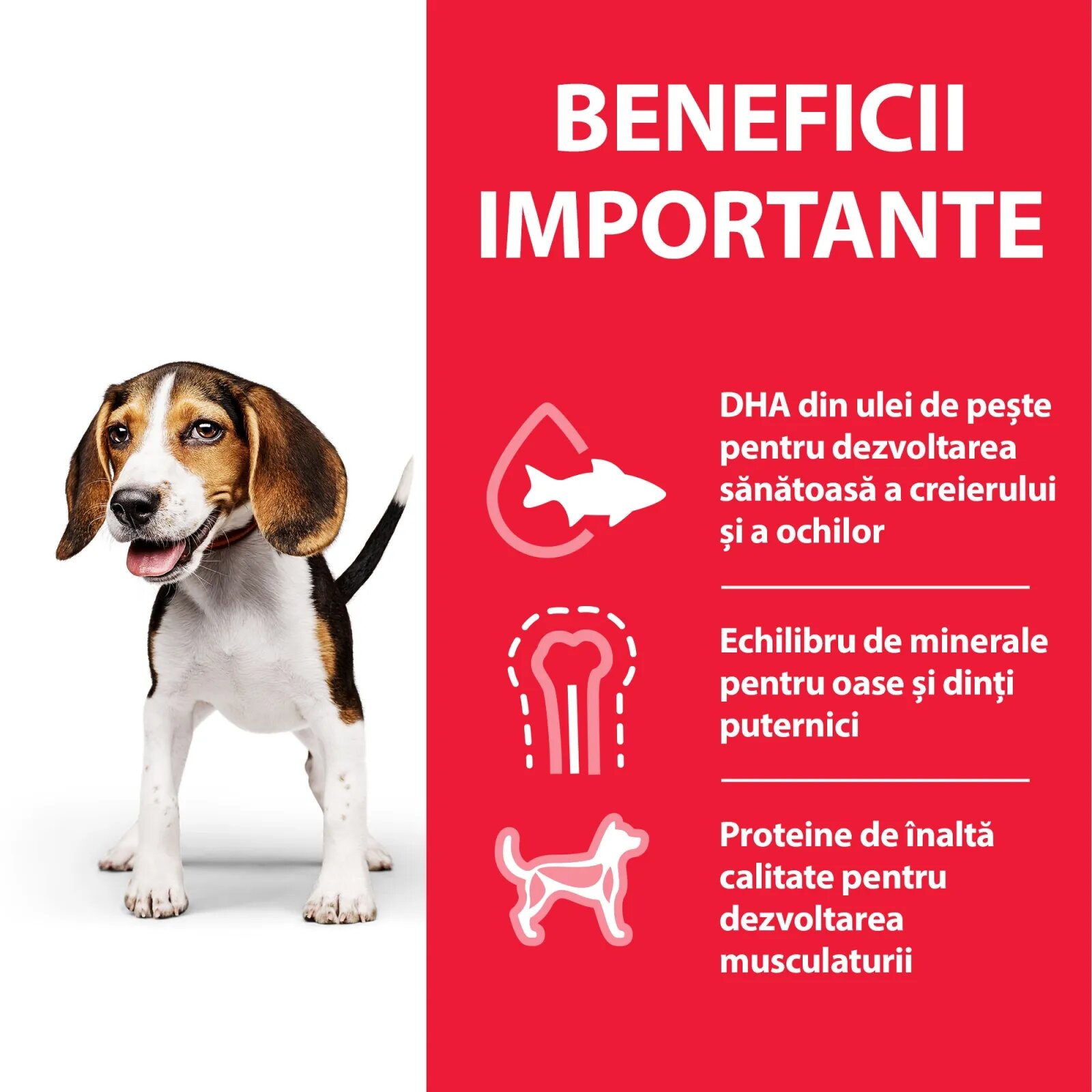 HILL'S Science Plan Hill's SP Canine Puppy Medium Pui Value Pack 18 Kg