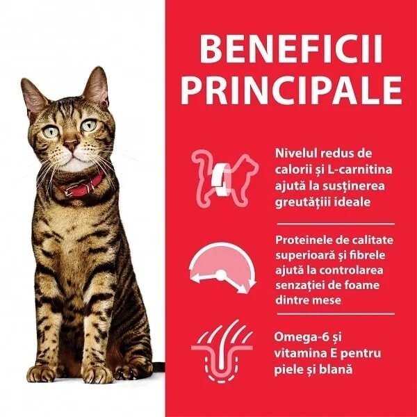 HILL'S Science Plan Hill's SP Feline Adult Light Pui 1.5 Kg