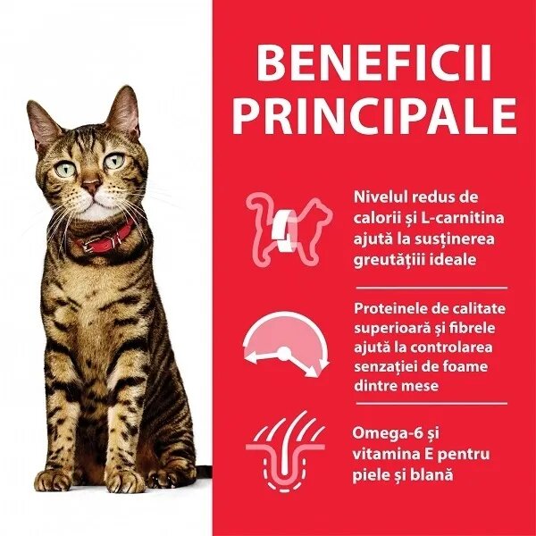 HILL'S Science Plan Hill's SP Feline Adult Light Pui 3 Kg