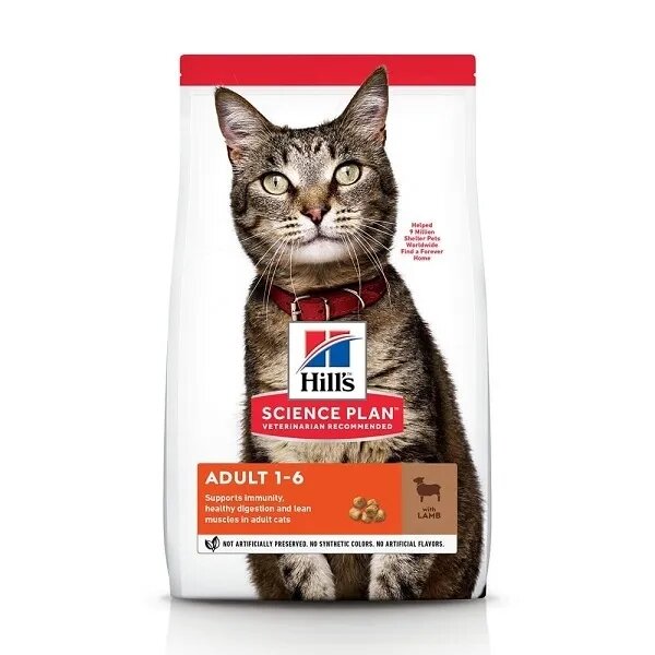 HILL'S Science Plan Hill's SP Feline Adult Miel 300 g