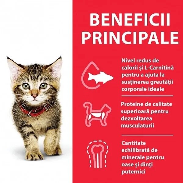 HILL'S Science Plan Hill's SP Feline Kitten Plic Ocean Fish 85 g Hill's SP Feline Kitten Plic Ocean Fishbax 85 g x 12buc