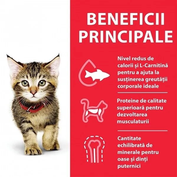 HILL'S Science Plan Hill's SP Feline Kitten Pui 7 Kg