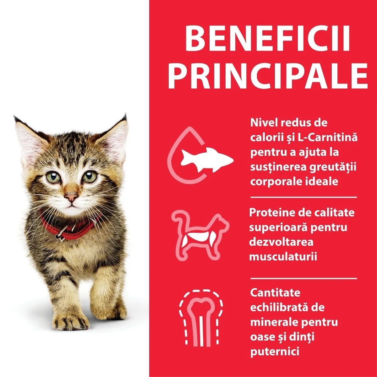 HILL'S Science Plan Kitten Ton hrană uscată pisici junior 7kg