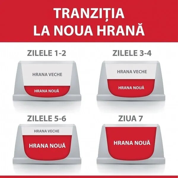 HILL'S Science Plan Miel hrană uscată pisici 3kg
