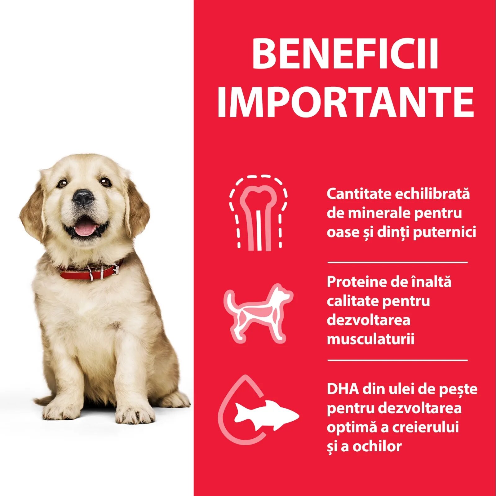 HILL'S Science Plan Puppy L Pui hrană uscată câini junior Hill's SP Canine Puppy Large Breed Pui Value Pack 16 Kg
