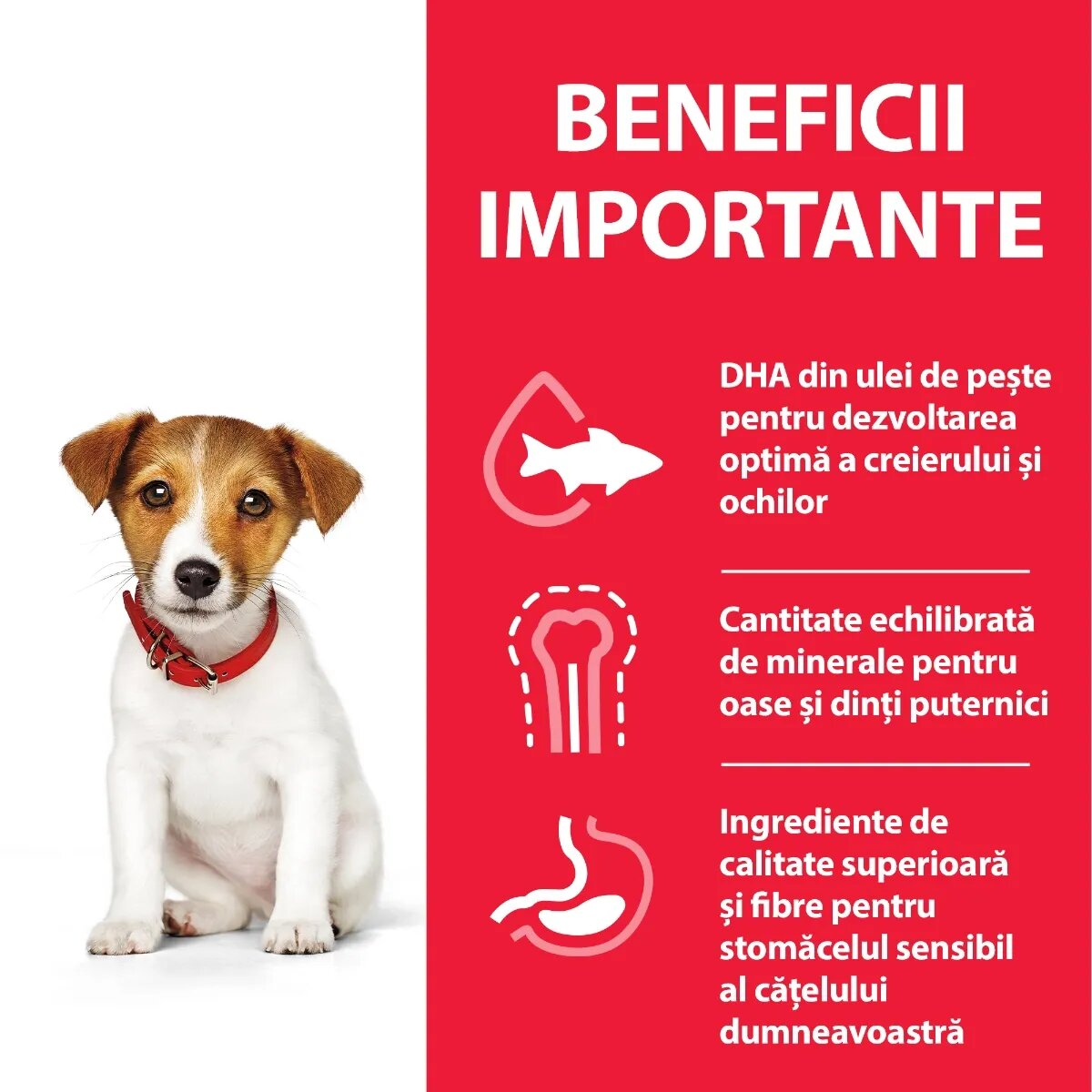 HILL'S Science Plan Puppy XS-S Pui hrană uscată câini junior 6kg