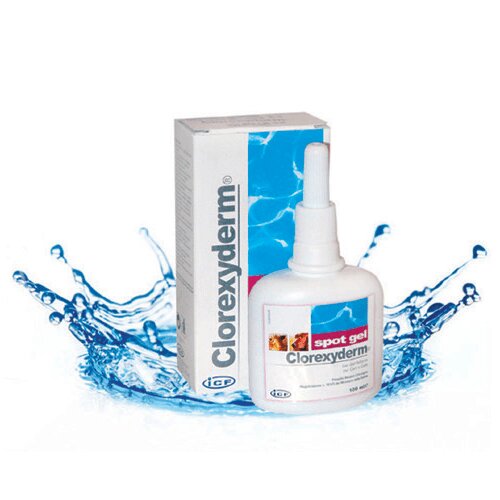 ICF Clorexyderm Spot Gel 100 ml