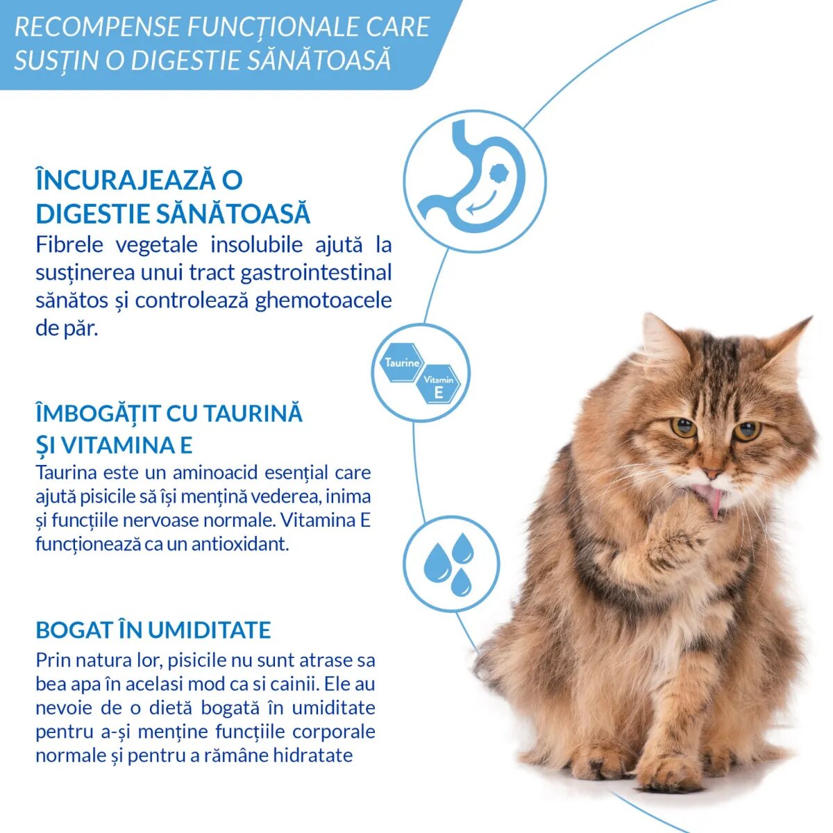 Inaba Churu Hairball Control Pui tub recompense fără cereale pisici limitarea ghemurilor de blană (piure) Churu Hairball Control Pui plic tub recompense fără cereale pisici limitarea ghemurilor de blană (piure) 56g