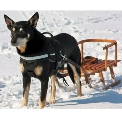 Julius-K9 IDC Power ham tractiune caini M 14-25kg negru