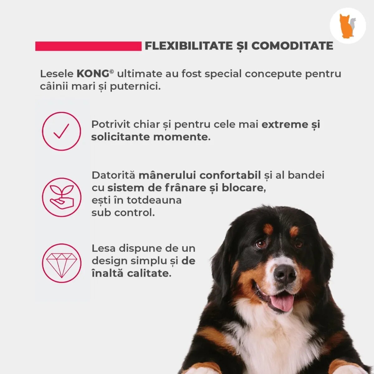 Kong Lesa Retractabila Terrain L 5m-50 Kg Negru