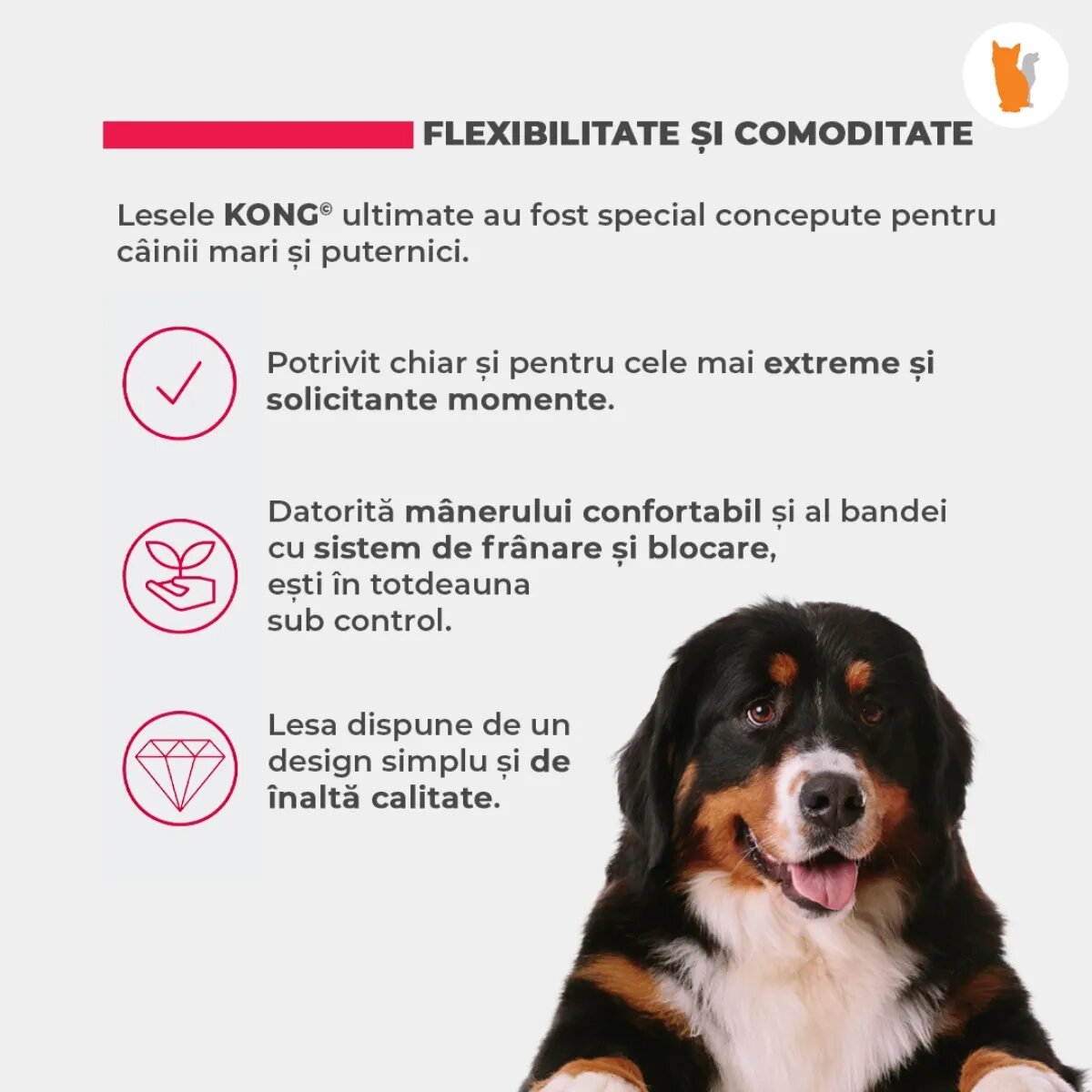 Kong Lesa Retractabila Terrain M 5m-30 Kg Negru