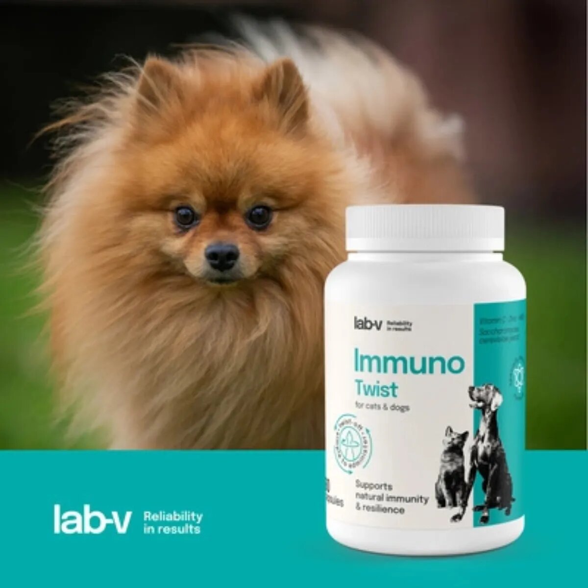 LAB-V Immuno Twist XS-XL supliment sistem imunitar câini și pisici flacon 60 capsule