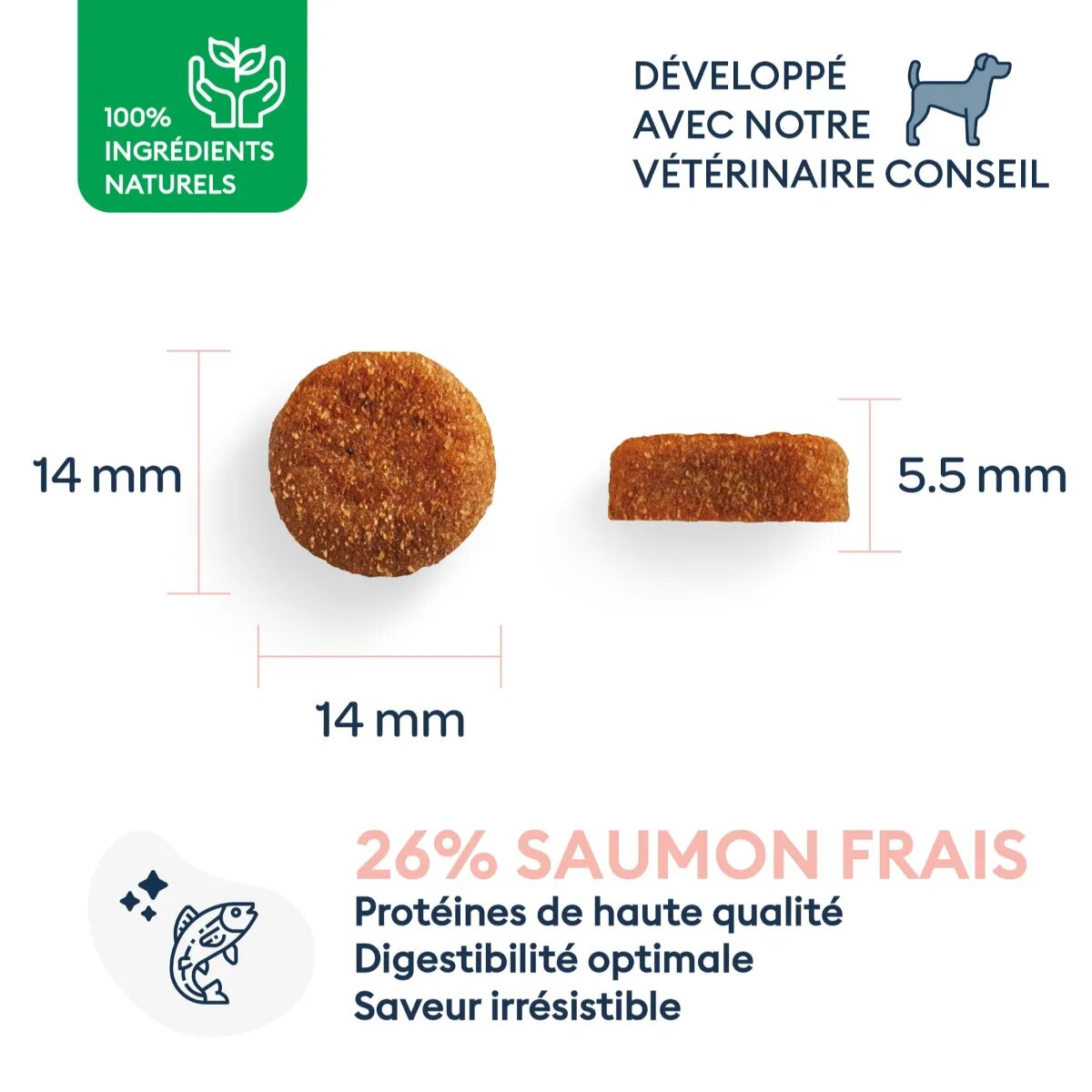 MARLY&DAN Adult Medium Breed M Somon hrană uscată fără cereale câini 4kg