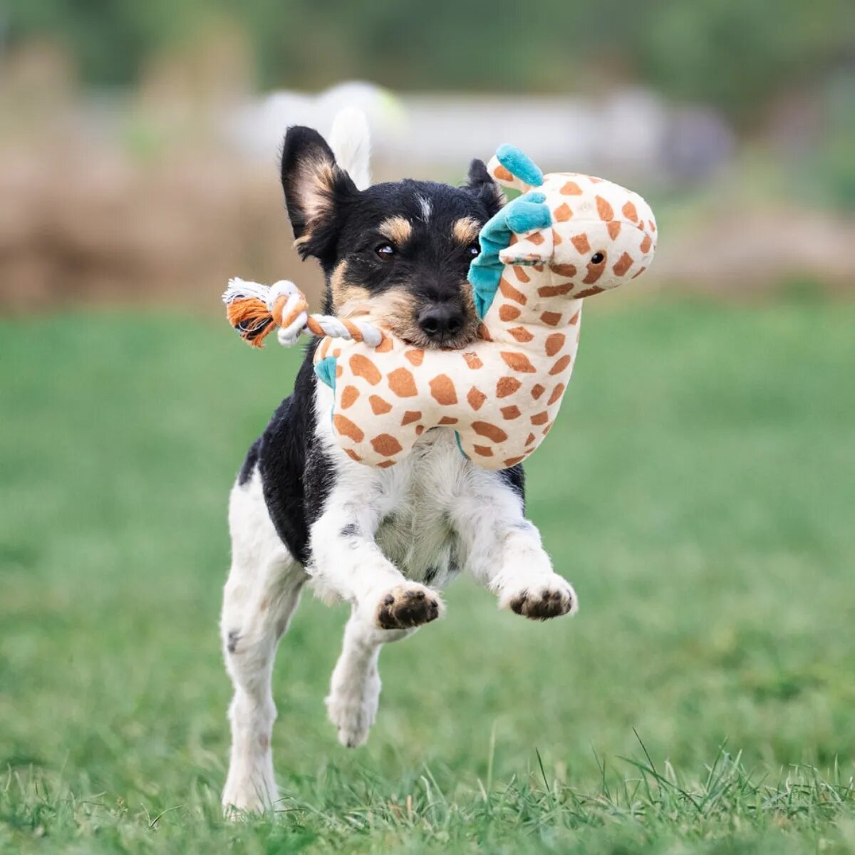 MAX & MOLLY Huggles Girafa Jerry jucărie de aport câini activități fizice poliester maro și albastru 26x23cm 1buc
