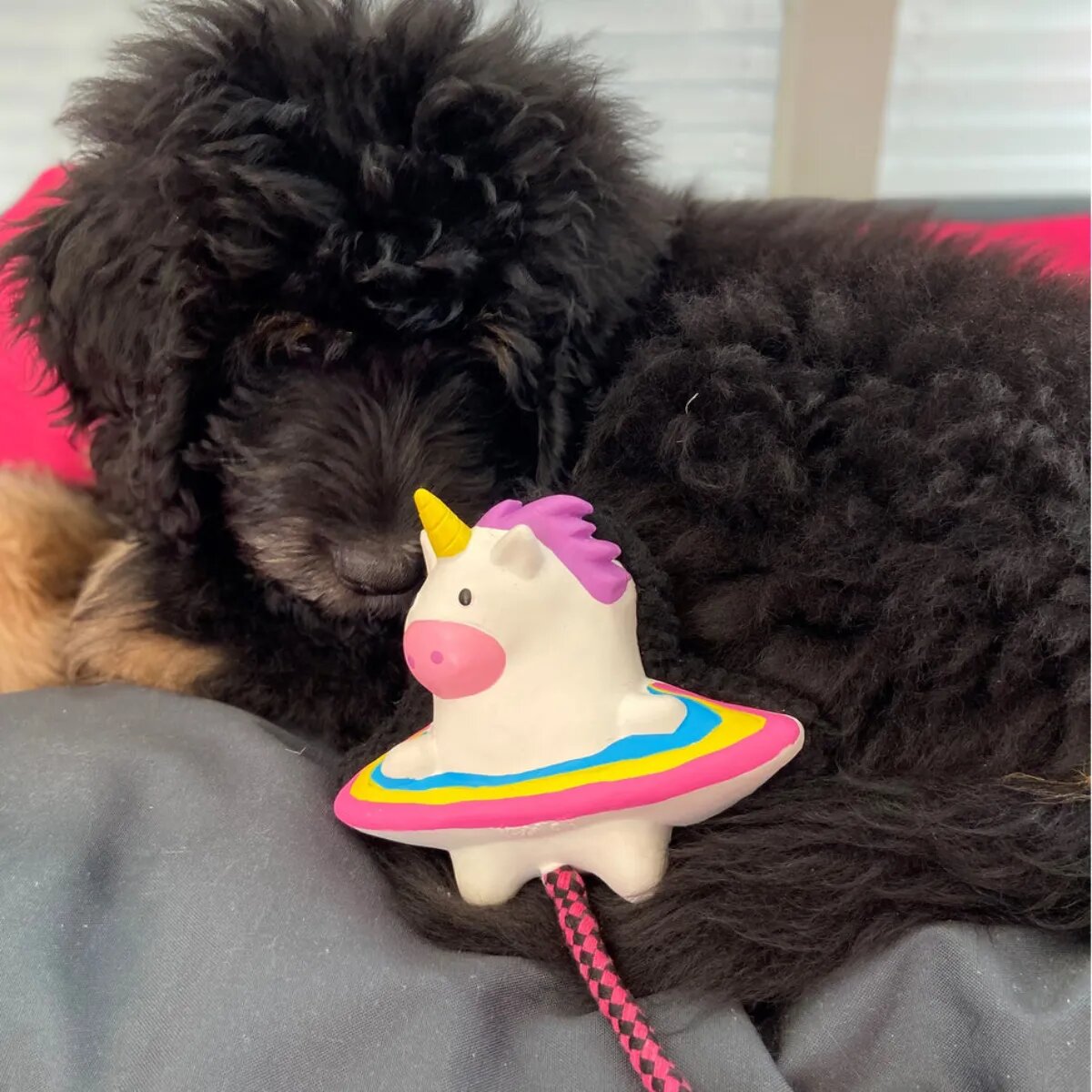 MAX & MOLLY Snuggles Magic Mikey jucărie de aport câini dentiție cu sunet poliester alb și multicolor 1buc