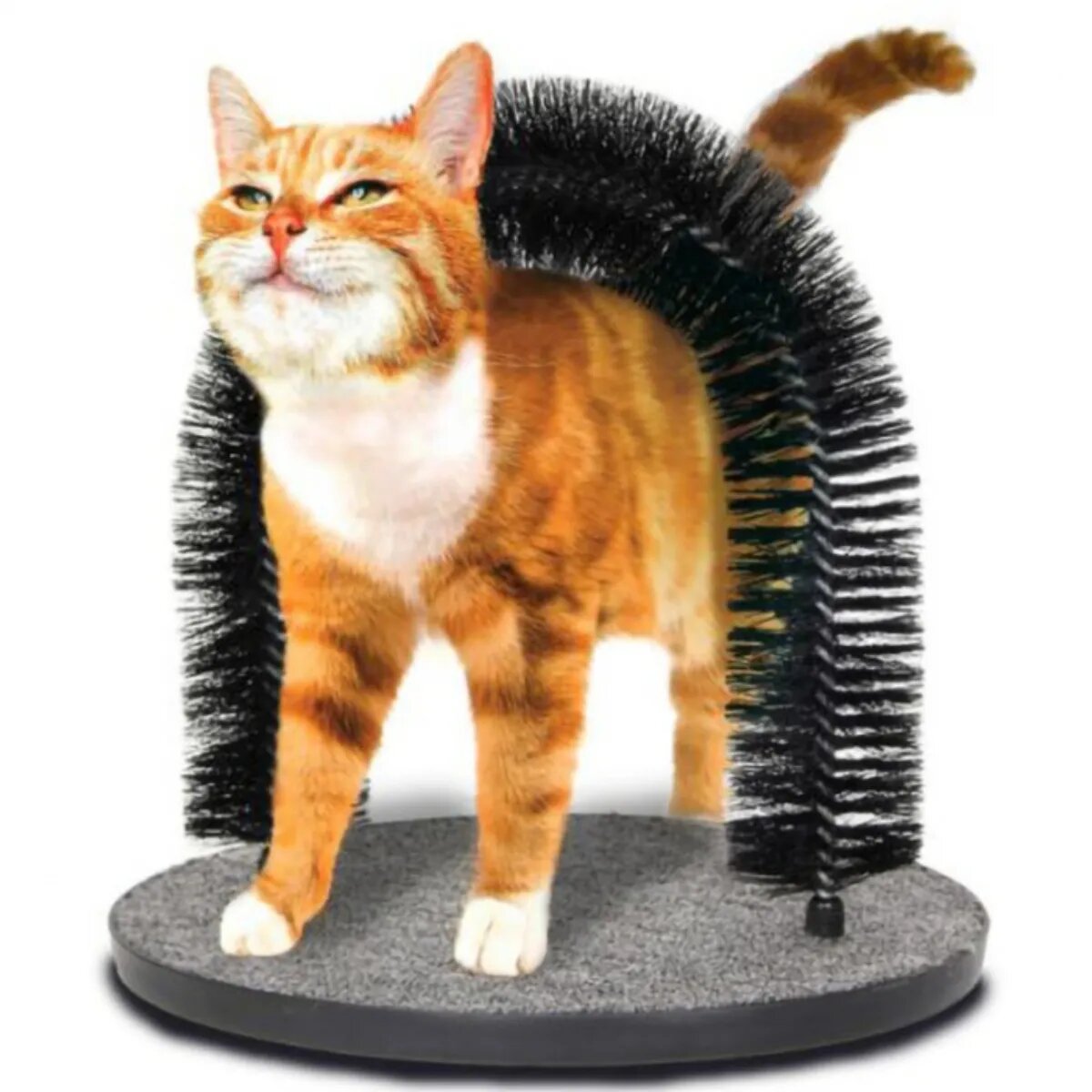 MIAU MIAU Periaj Arc ansamblu de joacă pisici gri și negru 28x35cm