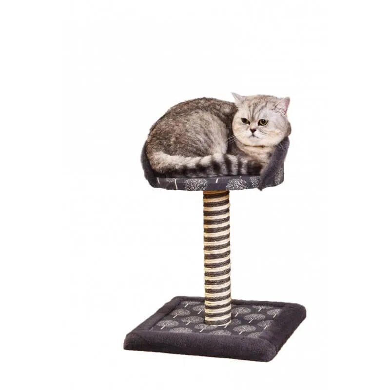 Mon Petit Ami Ansamblu de Joaca Thomas 33 x 33 x H45 cm