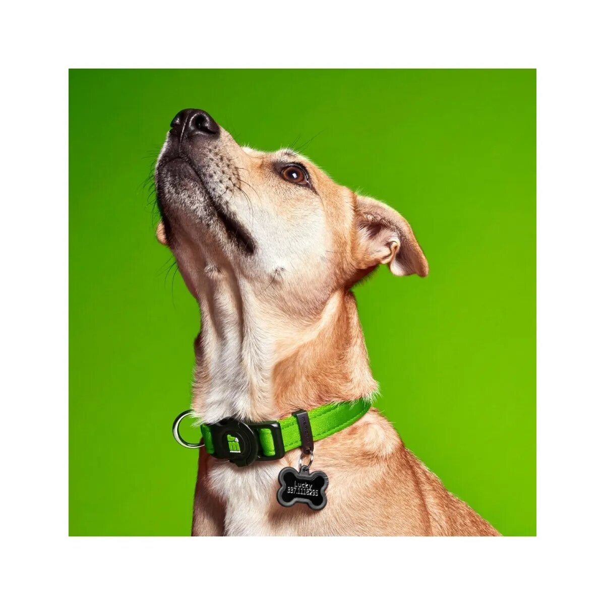 MyFamily Memopet zgardă ajustabilă cu NFC câini textil 26-37cm verde