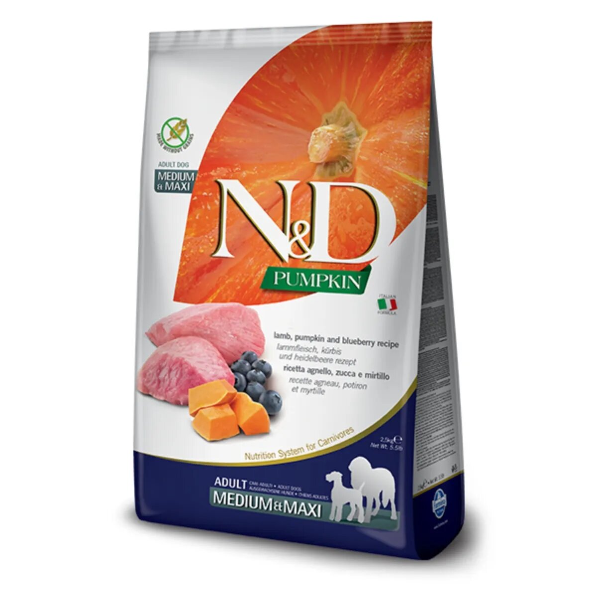 N&D Pumpkin Adult Medium/Maxi M-XL Miel și afine hrană uscată fără cereale câini 12kg
