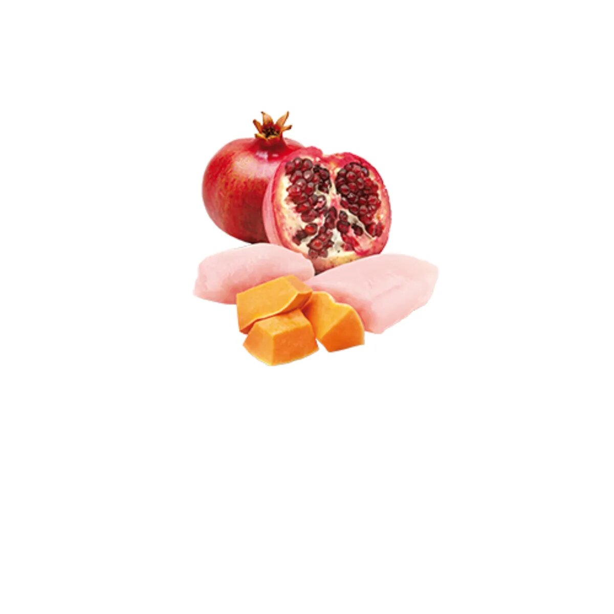 N&D Pumpkin Pui și dovleac conservă hrană umedă fără cereale pisici (în aspic) 70g