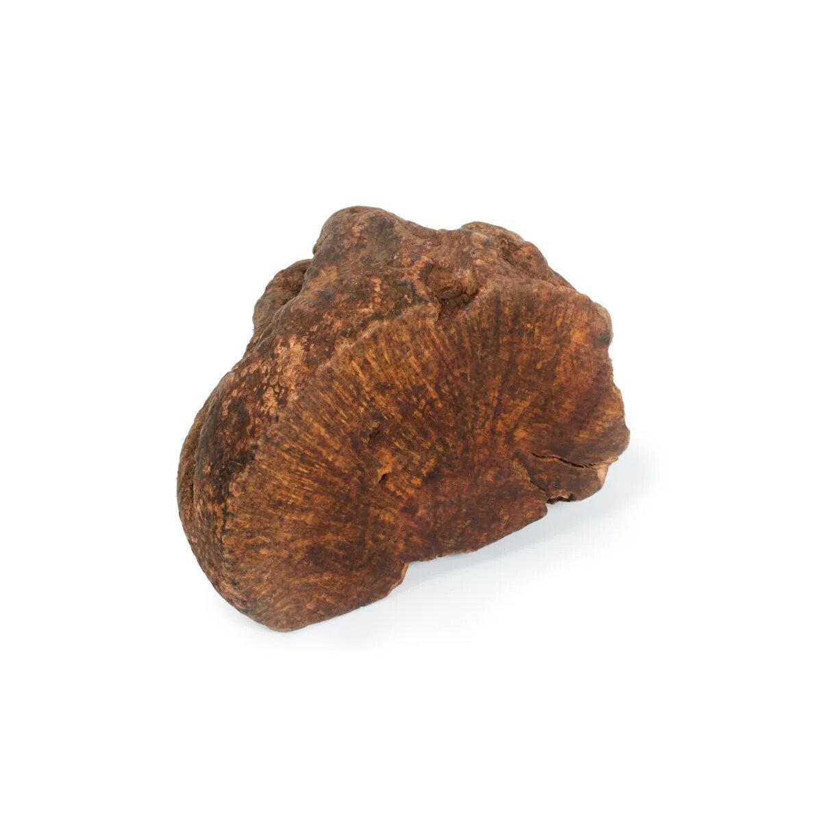 NATUREDELÌ Radacina Tubercul Salbatic S recompense câini 300g