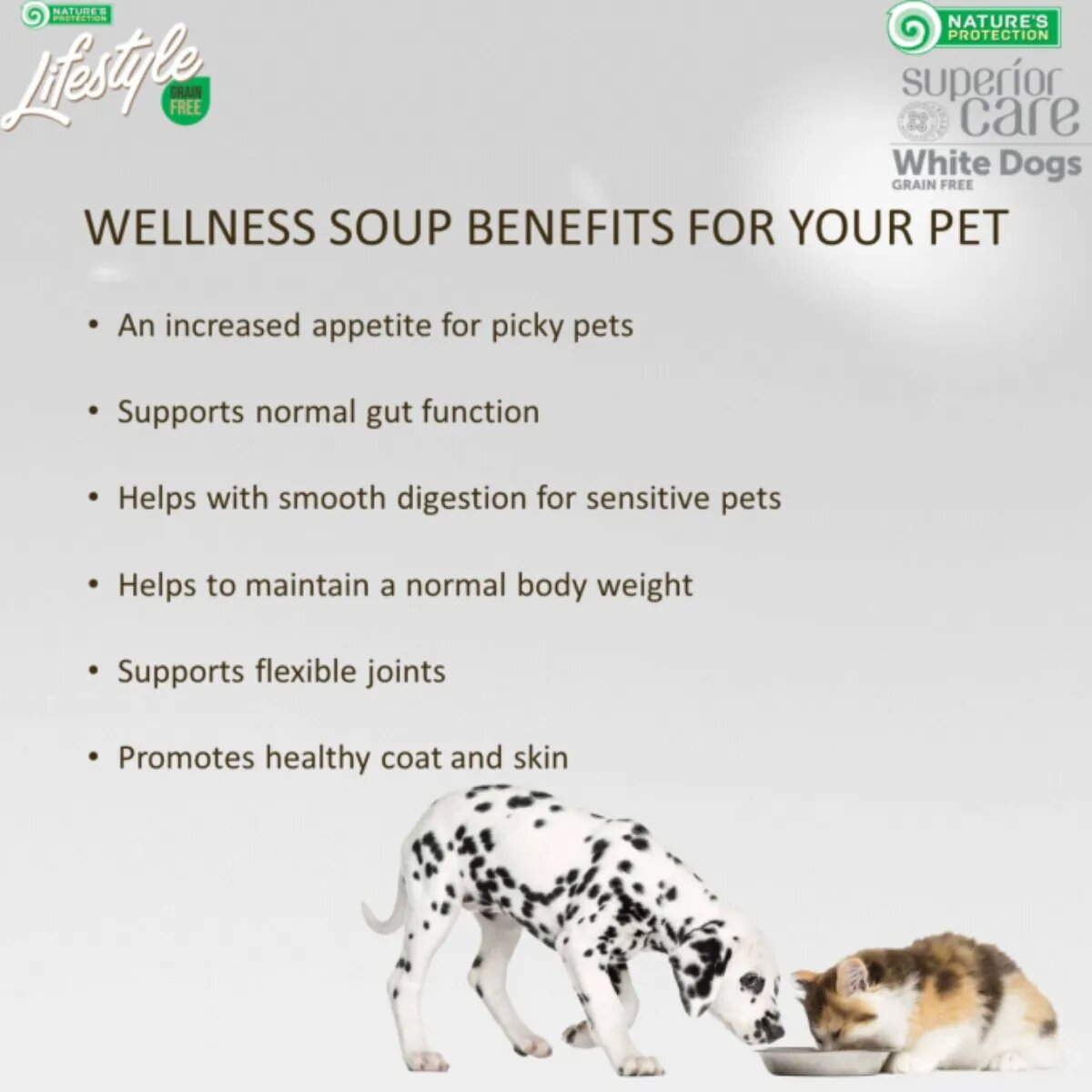 Natures Protection Lifestyle Sterilised Soup Somon conservă hrană umedă pisici sterilizate (topping) 140g