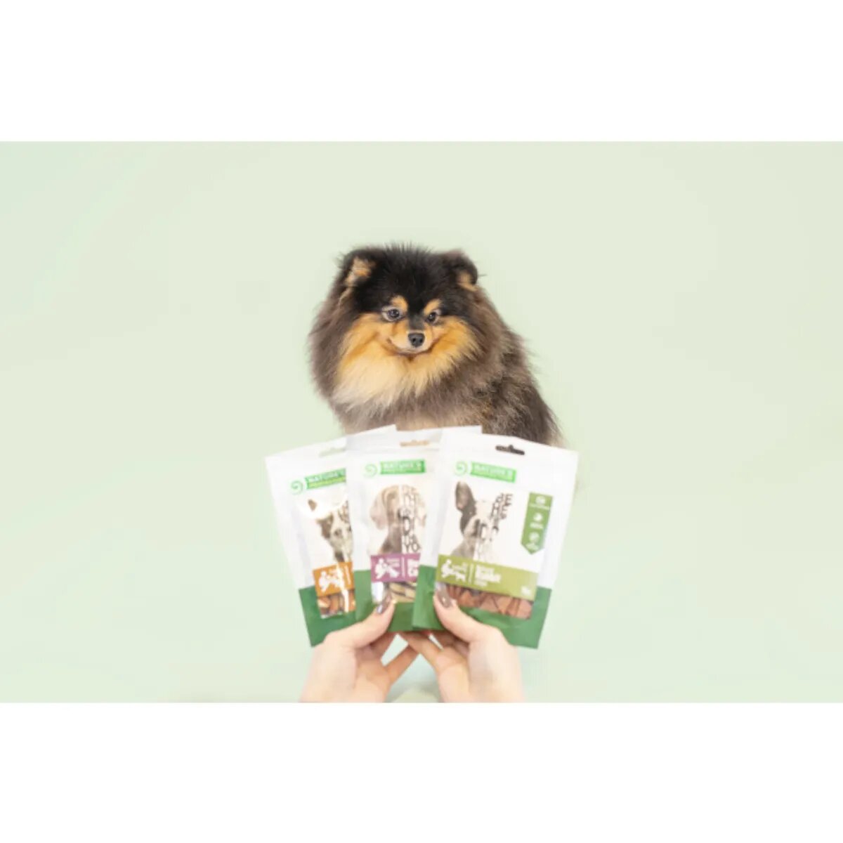 Natures Protection Soft Slices XS-XL Miel punguță recompense funcționale câini 75g