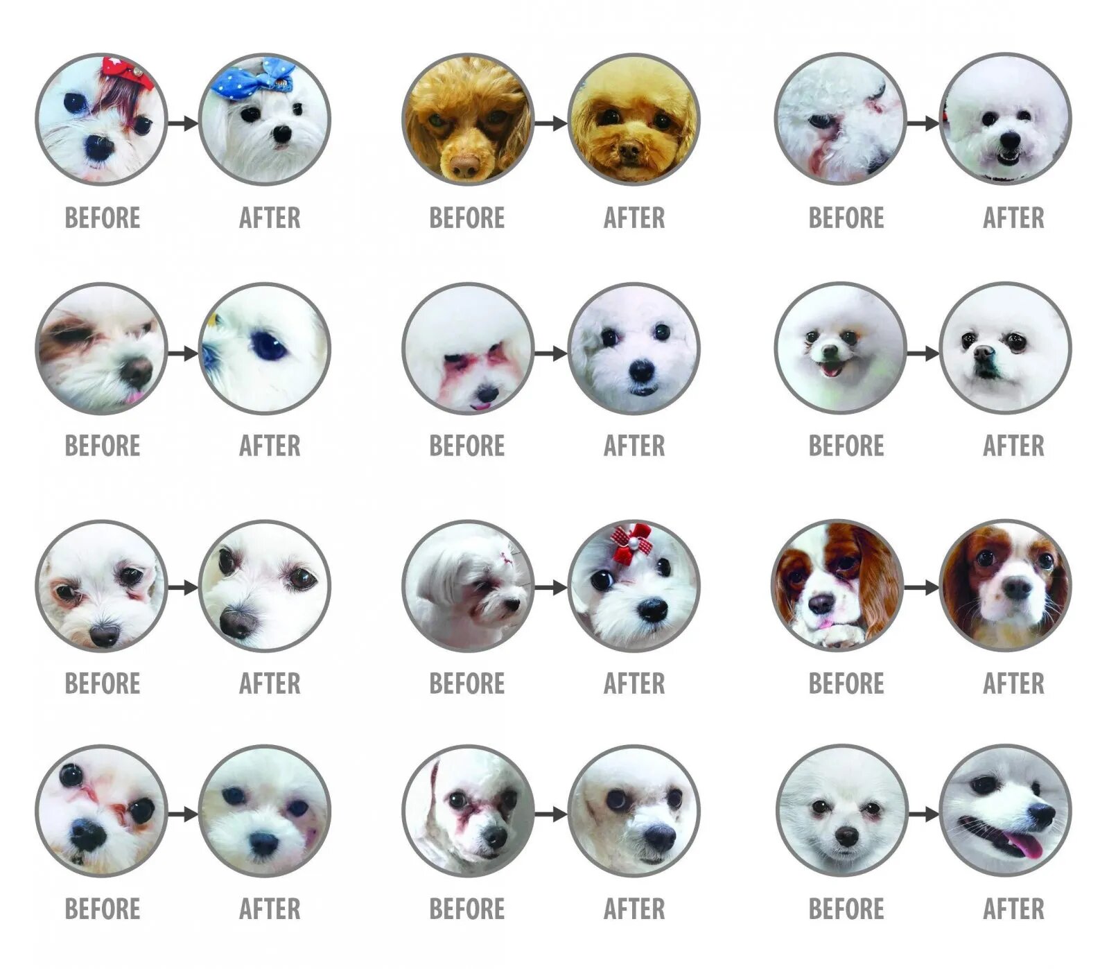 Natures Protection Superior Care White Dogs Junior Small&Mini Pește Alb hrană uscată fără cereale câini juniori reducerea petelor la câinii albi Superior Care White Dogs Junior XS - S Pește Alb hrană uscată fără cereale câini juni