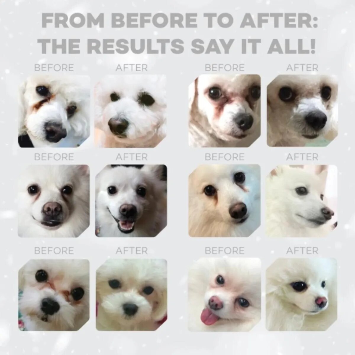 Natures Protection Superior Care White Dogs XS-XL Pește alb hrană uscată fără cereale câini junior & adult 10kg
