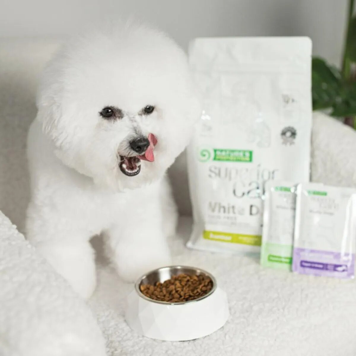Natures Protection Superior Care White Dogs XS-XL Ton și Pește alb plic hrană umedă câini (topping) 70g