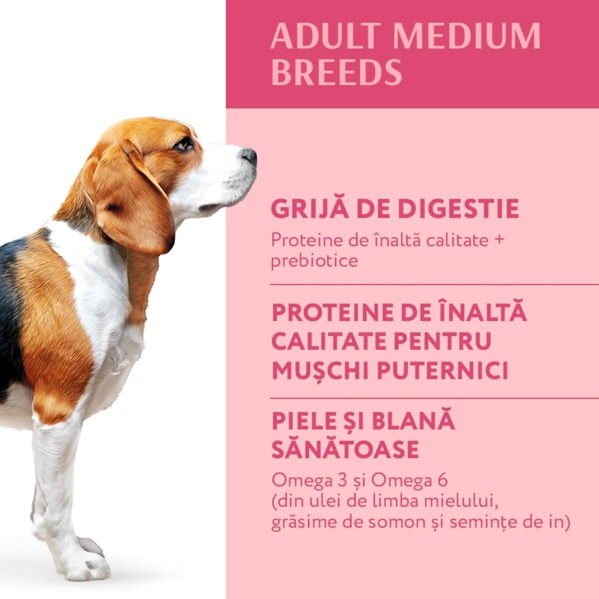 OPTIMEAL Adult M Curcan hrană uscată câini Adult M Curcan hrană uscată câini 4kg