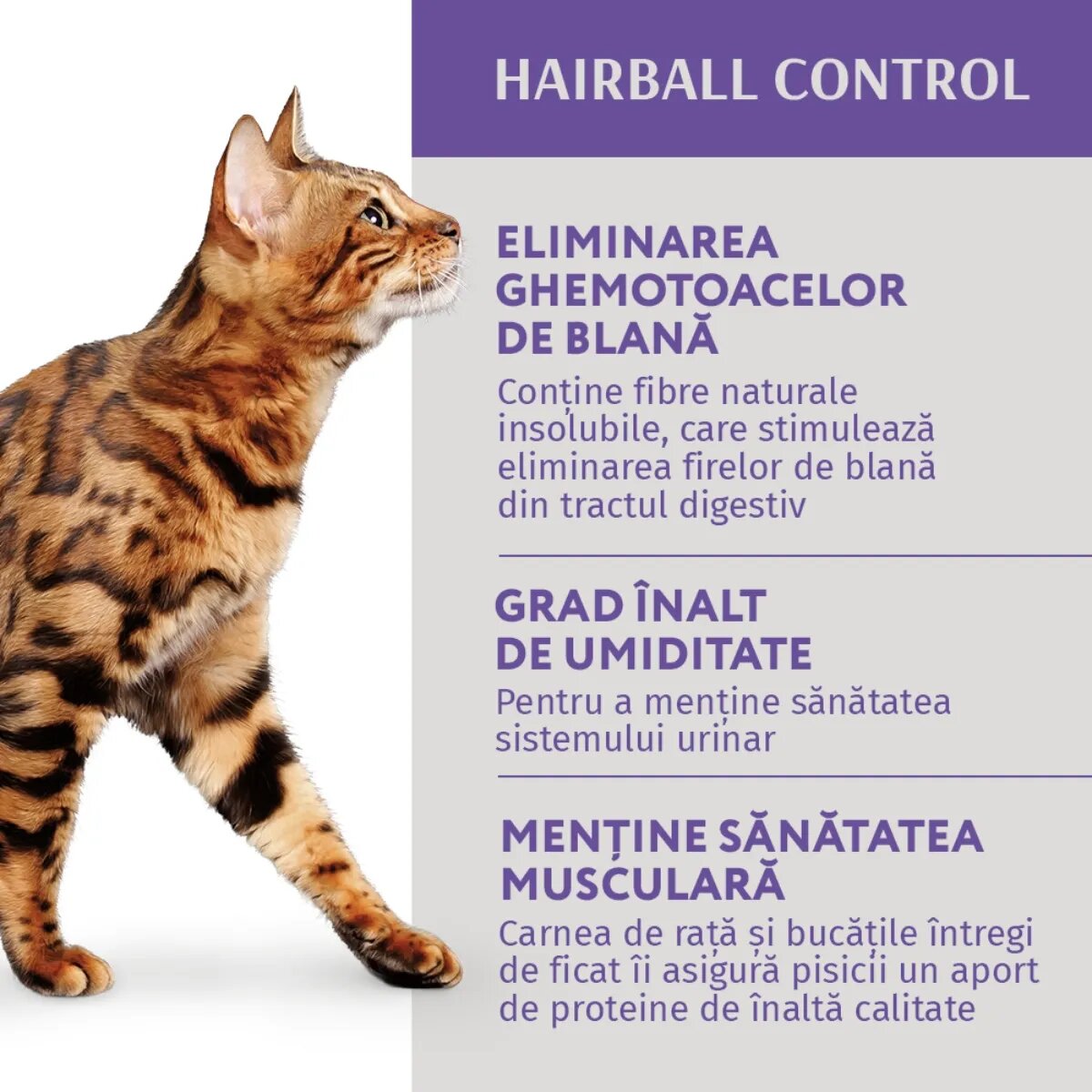 OPTIMEAL Hairball Control Rață și Ficat hrană umedă pisici limitarea ghemurilor de blană (în aspic) Hairball Control Rață și Ficat plic hrană umedă pisici limitarea ghemurilor de blană (în aspic) 85g