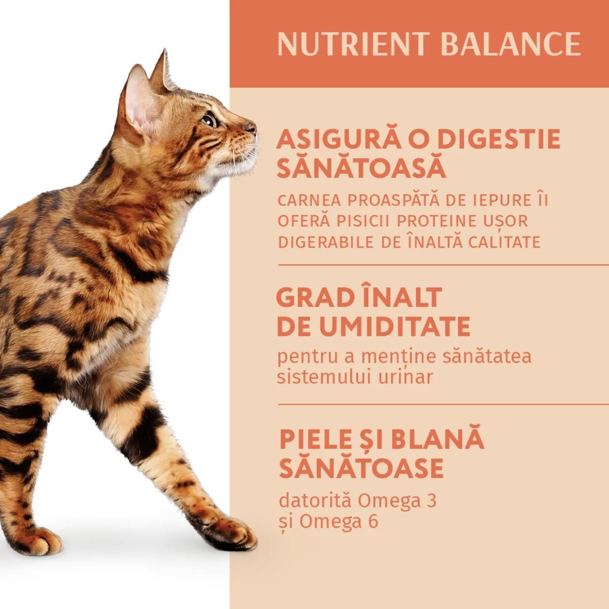 OPTIMEAL Iepure hrană umedă pisici (în sos) Iepure plic hrană umedă pisici (în sos) 85g