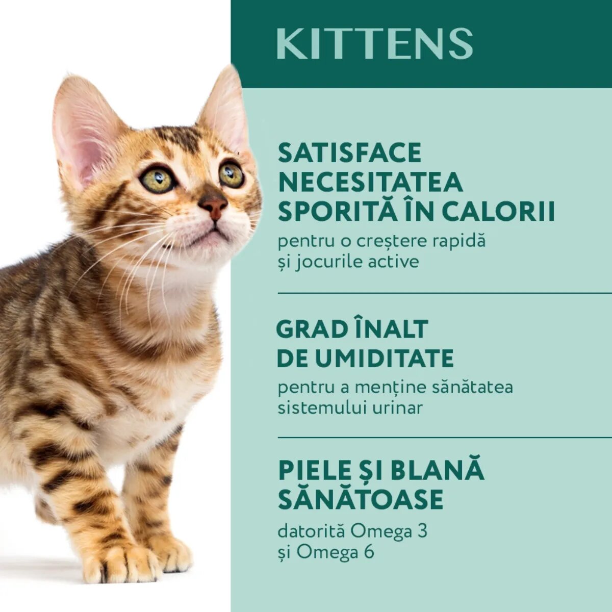 OPTIMEAL Kitten Pui hrană umedă pisici junior (în sos) Kitten Pui plic hrană umedă pisici junior (în sos) 85g