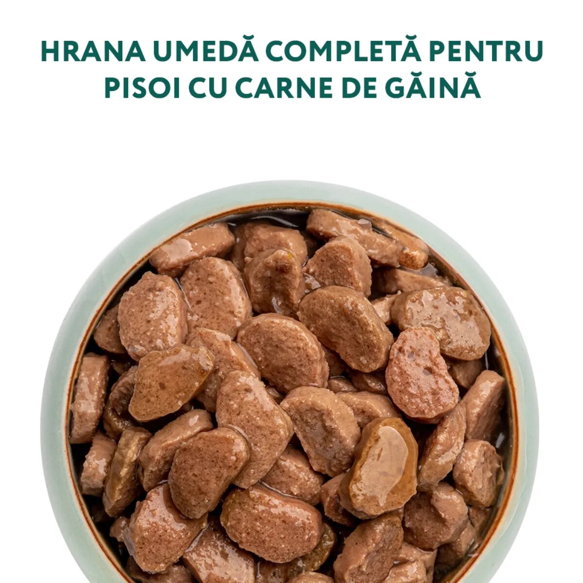 OPTIMEAL Kitten Pui hrană umedă pisici junior (în sos) Kitten Pui plic hrană umedă pisici junior (în sos) 85g