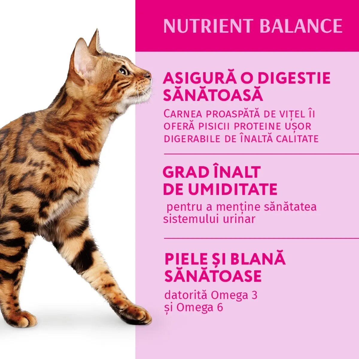 OPTIMEAL Miel cu Legume hrană umedă pisici (în aspic) Miel și Legume plic hrană umedă pisici (în aspic) 85g